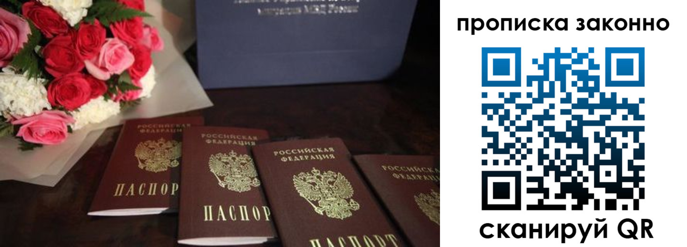 купить прописку в Мурманской области